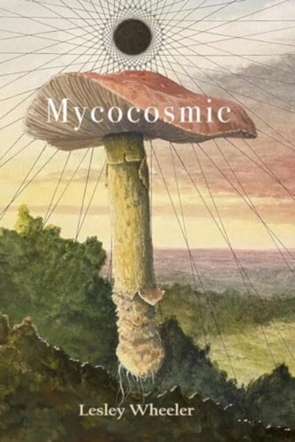 Mycocosmic