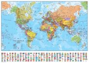 World political laminated