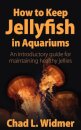 How to Keep Jellyfish in Aquariums