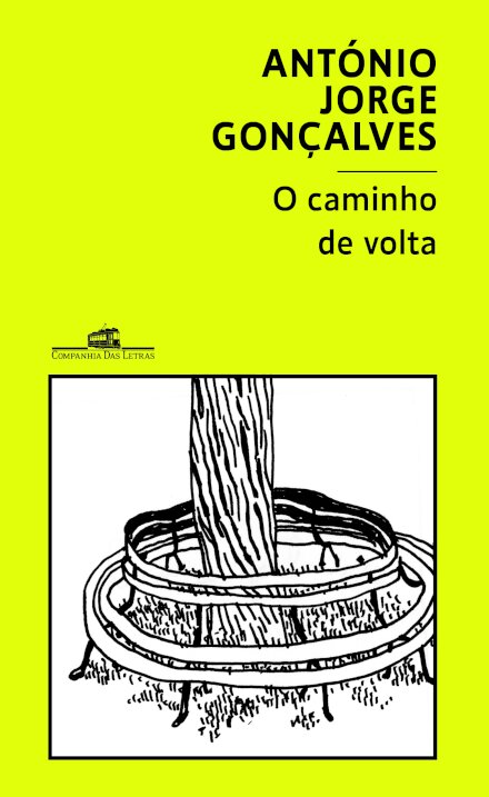 O caminho de volta