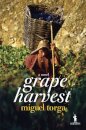Grape Harvest