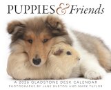 Puppies Friends Box Calendar 2026