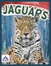 Jaguars