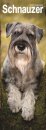 Schnauzer Slim Calendar 2026  Dog Breed Slimline Calendar - 12 Month