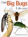 Big Bugs Life-Size