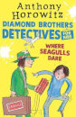 Where Seagulls Dare: A Diamond Brothers Case