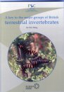 A Key to the Major Groups of Terrestrial Invertebrates