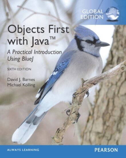 Objects First With Java