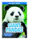 Giant Pandas