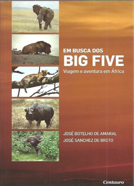 Em Busca dos Big Five