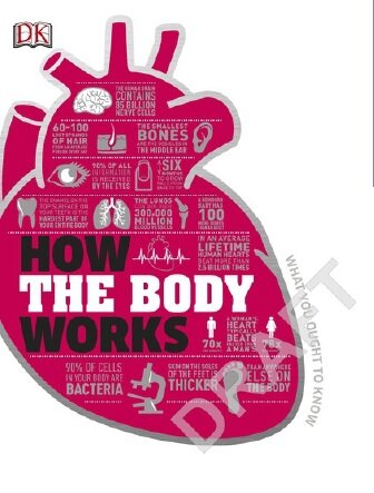 How The Body Works