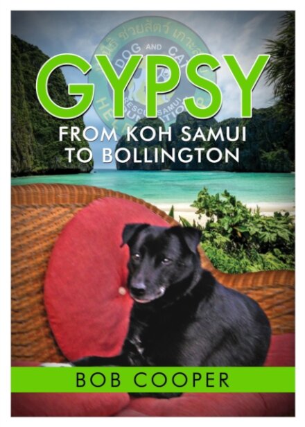 Gypsy - From Koh Samui to Bollington