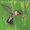 Hummingbirds 2025 12 X 12 Wall Calendar