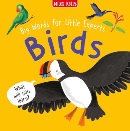 Birds