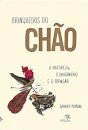 Brinquedos do chão: a natureza, o imaginário e o brincar
