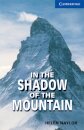 In the Shadow of the Mountain Level 5