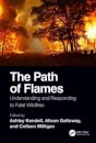 The Path of Flames
