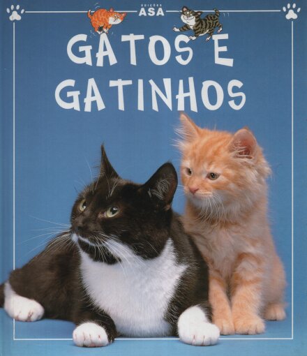 Gatos E Gatinhos