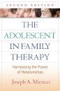 The Adolescent in Family Therapy, Second Edition