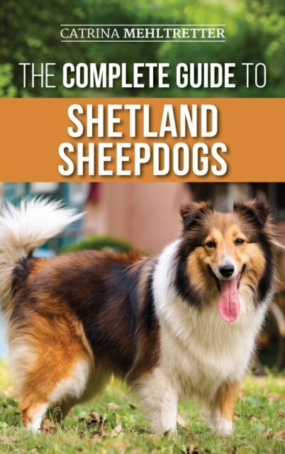 The Complete Guide to Shetland Sheepdogs