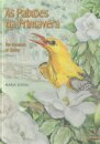 As Paixoes Da Primavera