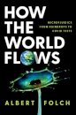 How the World Flows