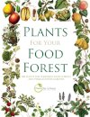 Plants for Your Food Forest