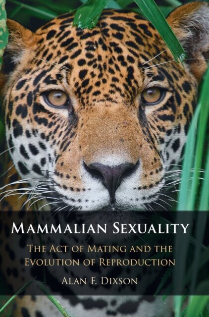 Mammalian Sexuality