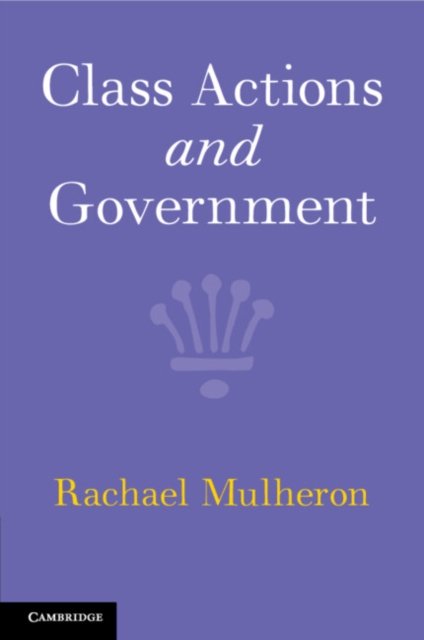 Class Actions and Government