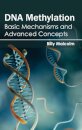 DNA Methylation: Basic Mechanisms and Advanced Concepts
