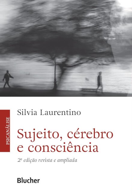 Sujeito, Cérebro E Consciência