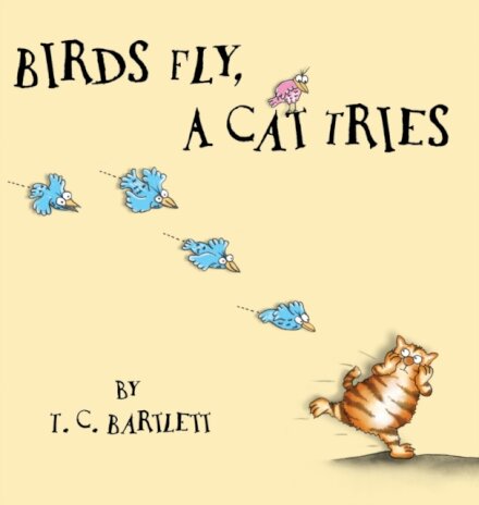 Birds Fly, A Cat Tries