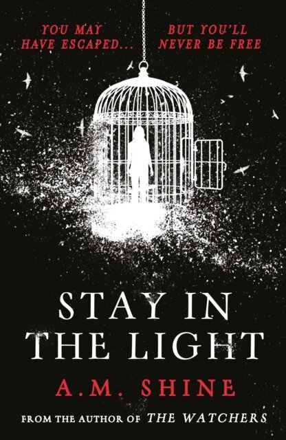 Stay In The Light