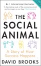 The Social Animal