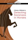 A Review of Methods for Detecting Soreness in Horses