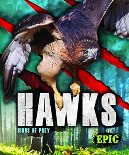 Hawks