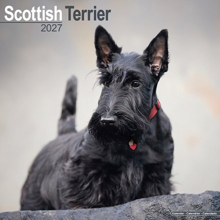Scottish Terrier Wall