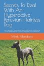 Secrets To Deal With An Hyperactive Peruvian Hairless Dog