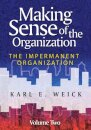 Making Sense of the Organization, Volume 2