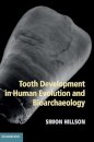 Tooth Development in Human Evolution and Bioarchaeology