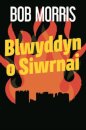 Blwyddyn o Siwrnai