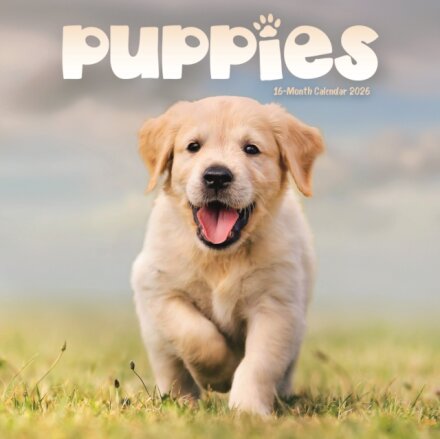 Puppies Square Mini Sunday Start Calenda