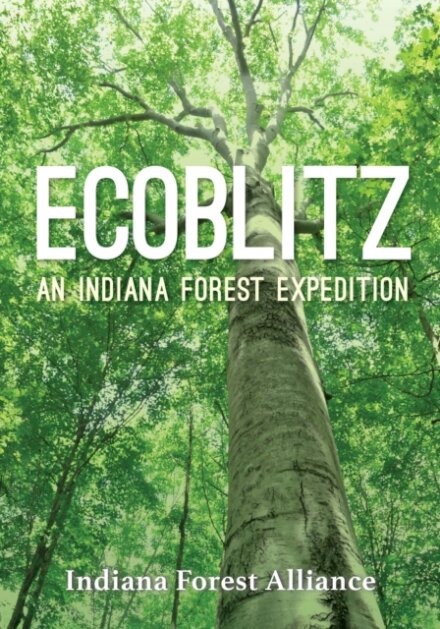 Ecoblitz