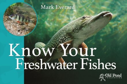 Know Your Freshwater Fishes