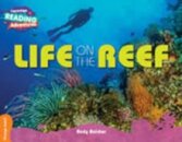 Orange Life on the Reef