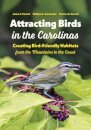 Attracting Birds in the Carolinas