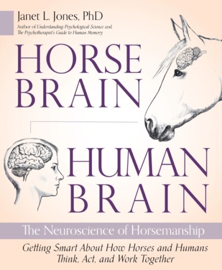 Horse Brain, Human Brain