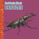 Fast Facts About Beetles