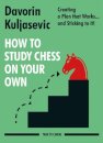 How to Study Chess on Your Own