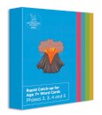 Rapid Catch-up for Age 7+ Word Cards (ready-to-use cards)